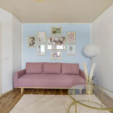 With A Breathtaking View Of The Rhine Appartement *