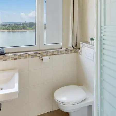 Appartement With A Breathtaking View Of The Rhine *
